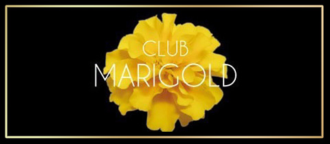 MARIGOLD